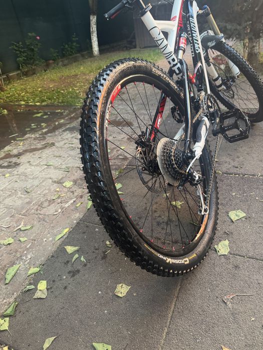 Specialized camber