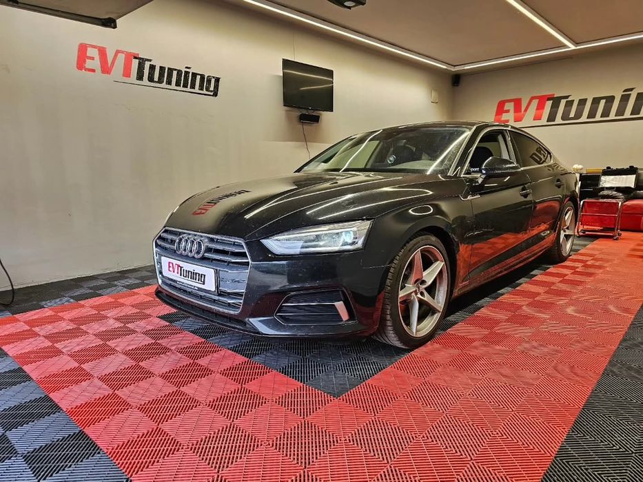 Resoftare Profesionala Tuning Software