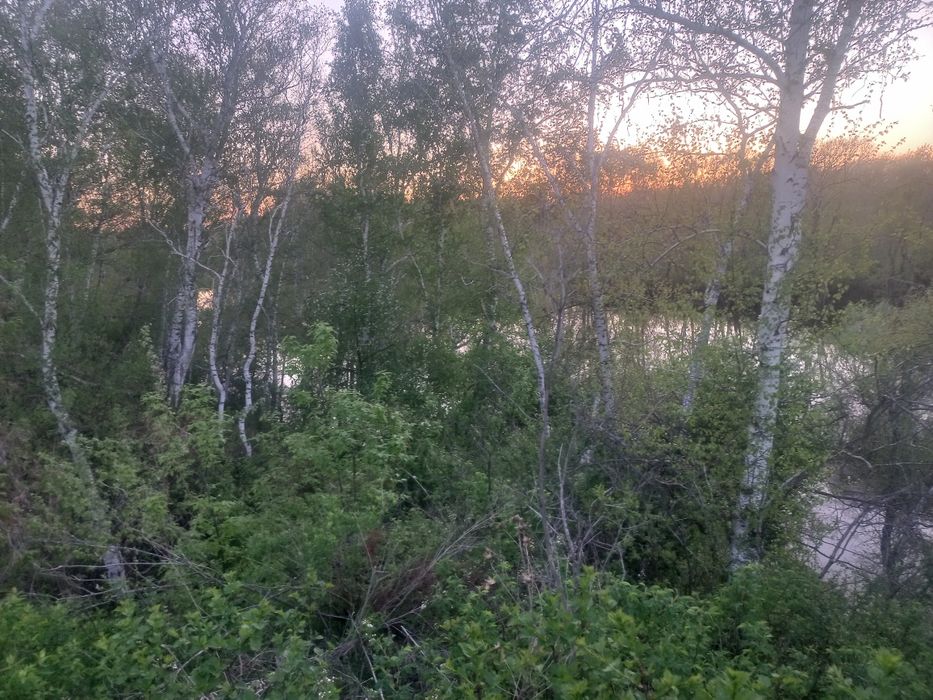 Земельный участок Ивановка