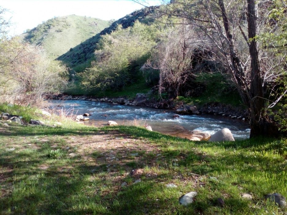 Земельный участок под бизнес