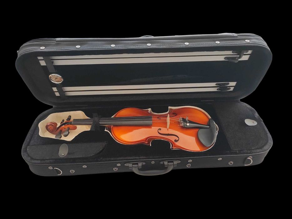 Cutie vioara 4/4 Maestru SA300