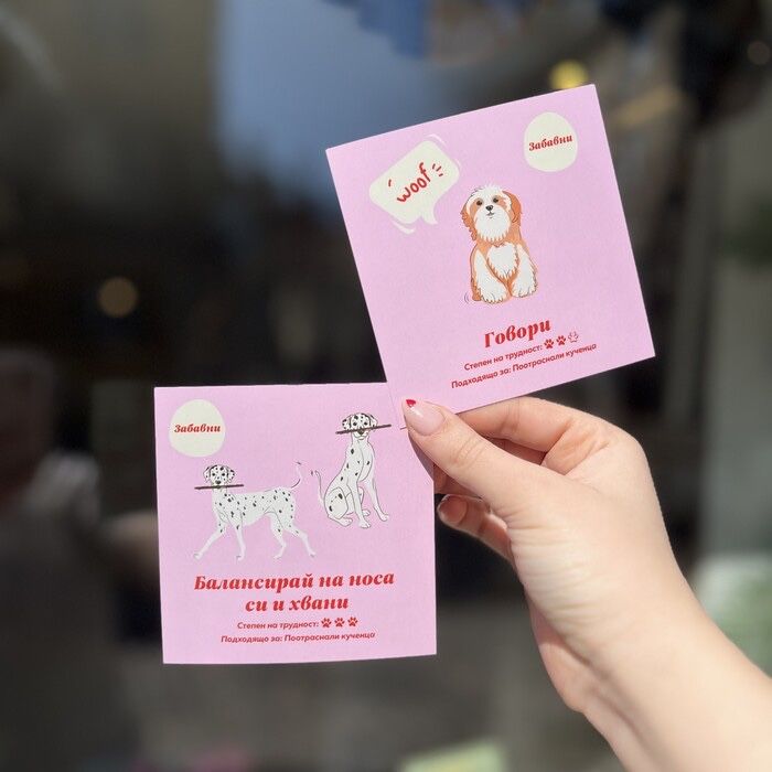 Тренировъчни карти за куче