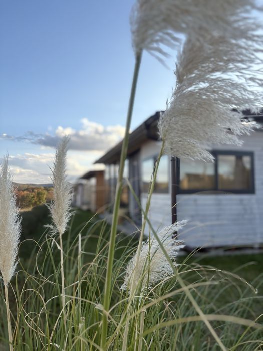 Морско бунгало в къмпинг Джой, Арапя