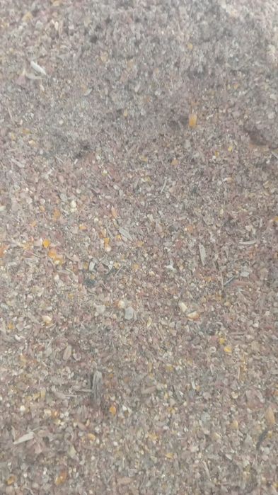 Concentrat pui etc..