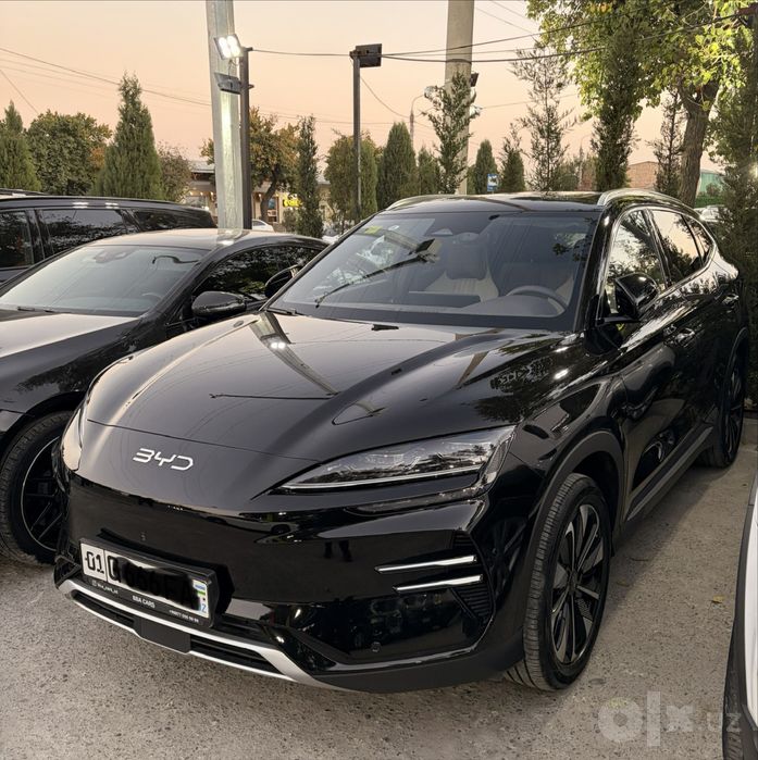 Byd Chempion Restayling 2025