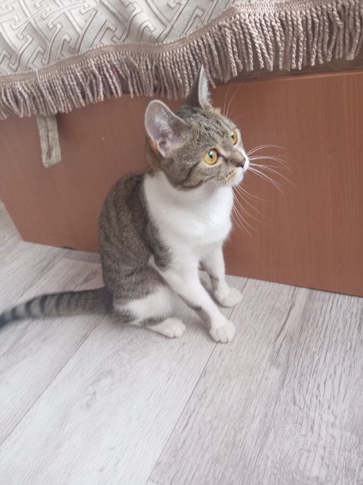 Продаём за 10000 торги не интересуют