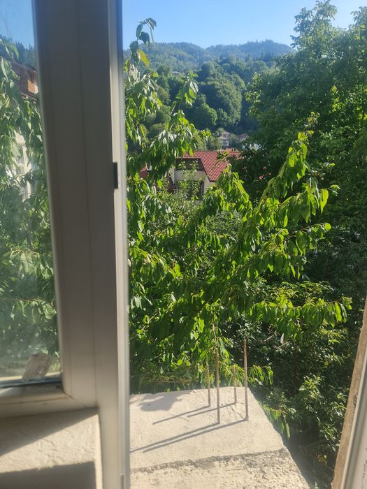 Продава се Етаж от къща в Смолян, Горно Райково - 140 кв.м за 312 €/кв.м - Снимка #9