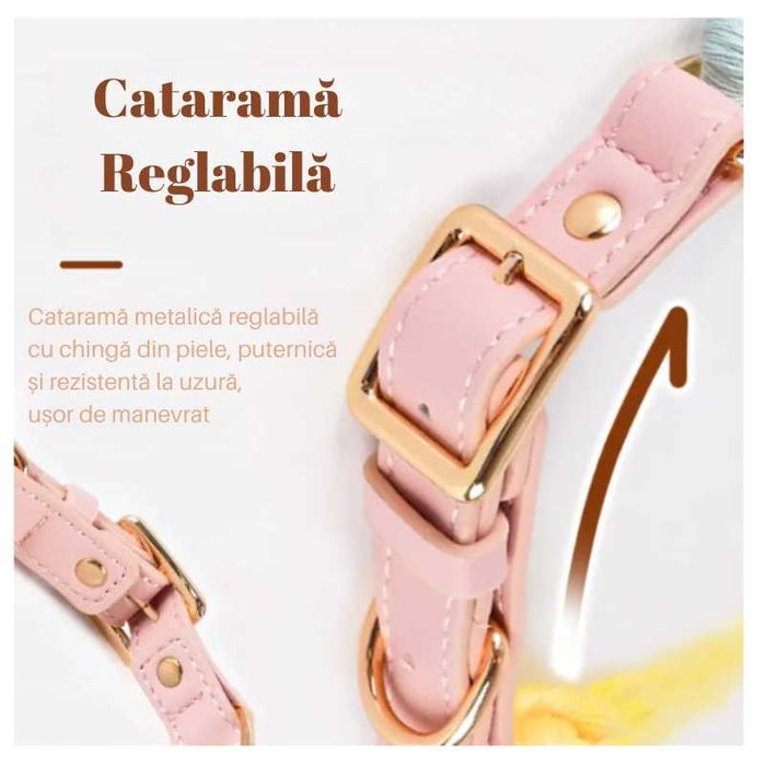 Set 2 piese, Zgarda si Lesa pentru Cainii de talie mica si medie