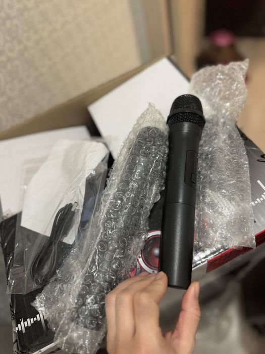 колонка Sing-e (party speaker)