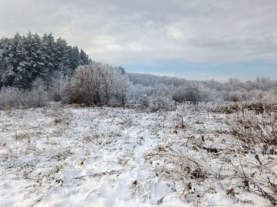 Teren intravilan, lac, heleșteu cu pește,râu 3600m2 intravilan