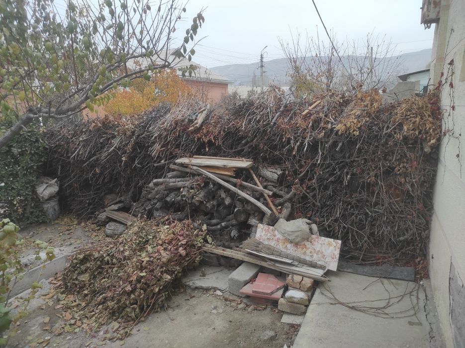 O'tin sotiladi Отин сотилади