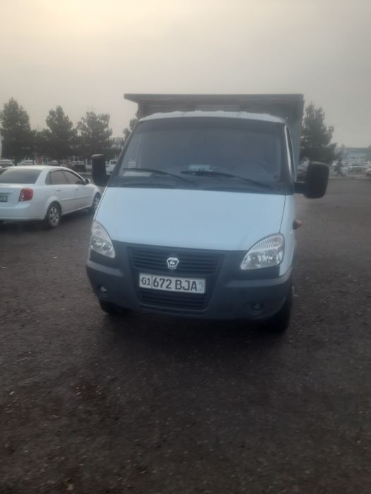 Газел бартавой сотилади