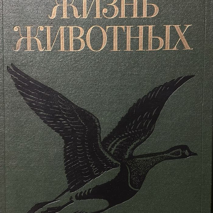 Комплект книг - Жизнь животных