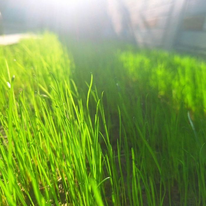 Qilgan ishga javob beradi  qilgan ishimizga karanta beriladi