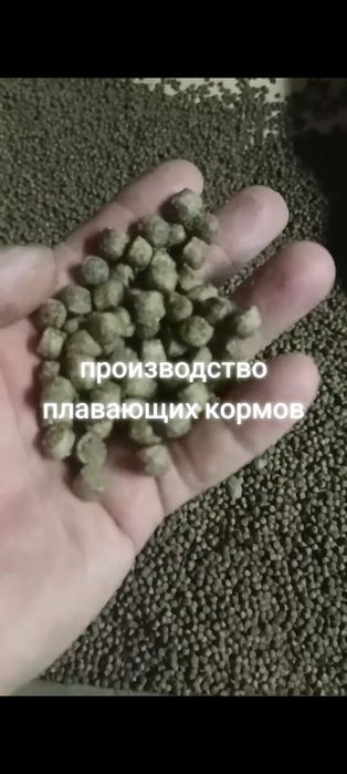 Экструдированный продукционный корм для форели