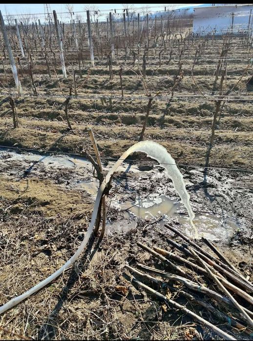 Foraje puțuri denisipari.