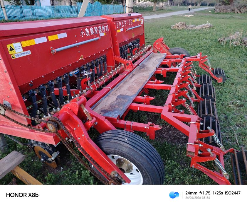 Селяка зерно селяка