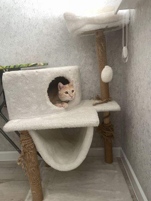 Кошачья мебель когтеточка лежанка