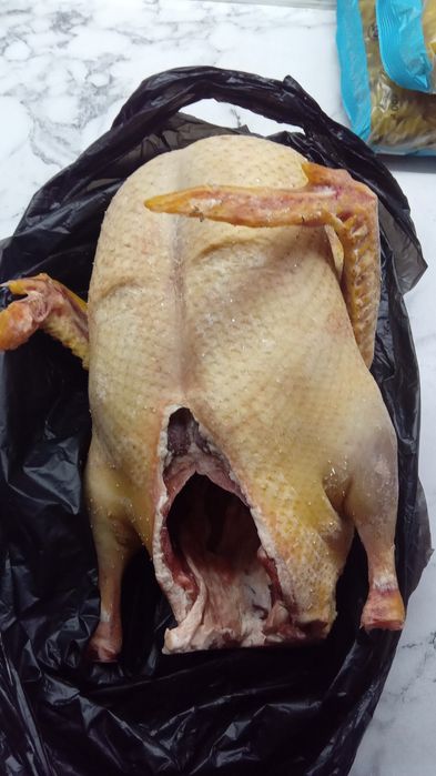 Продам индоуток  молодые