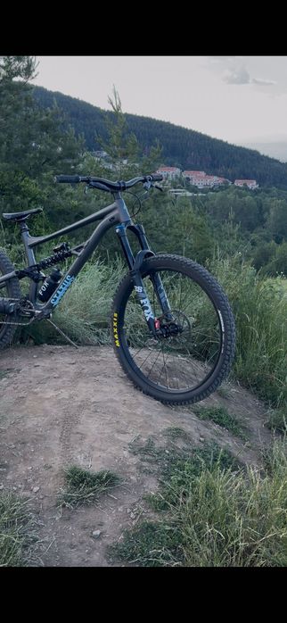 Specialized Status Custom