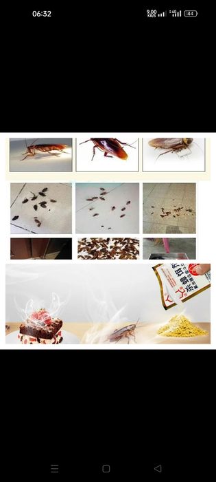 Таракан олтиретин порошок сатылады гарантия бериледи