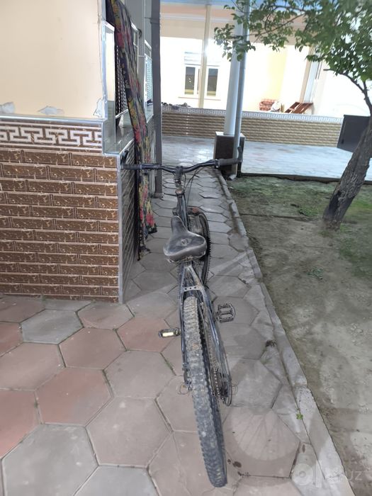 26 veliy kafolat langan