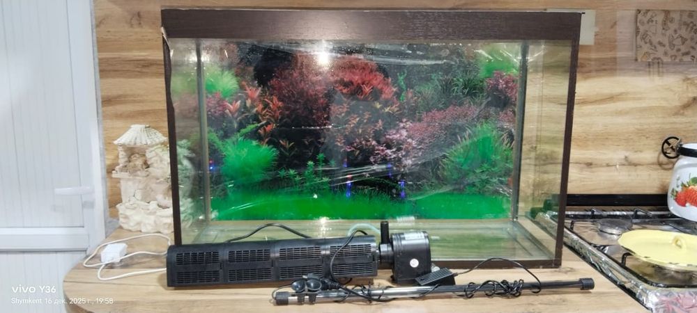 Продаются аквариум с крышкой