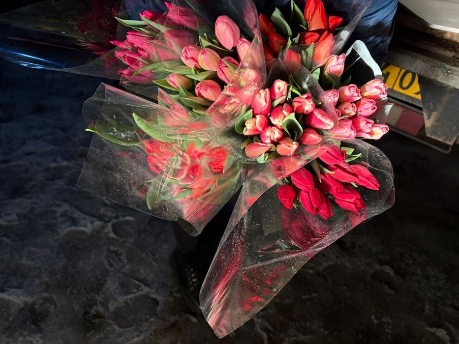 Тюльпаны оптом или в розницу