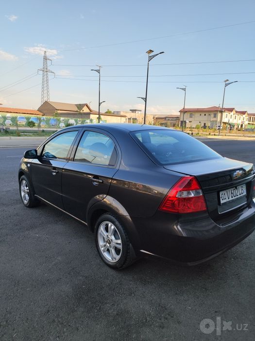 Nexia 3 4 Elegant Plus Choco