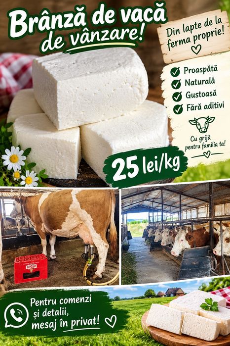 Branza de vaca de vânzare
