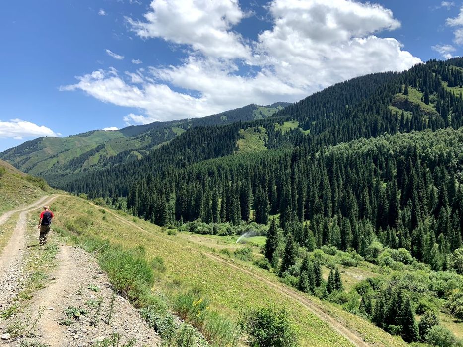 Продам землю в горах под базу отдыха