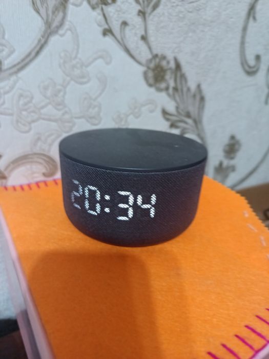 Продам Алису калонка