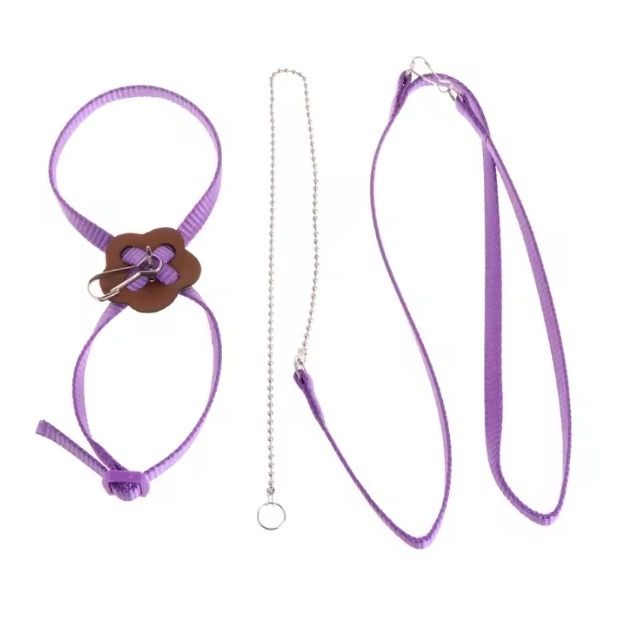 Lesă pentru Păsări