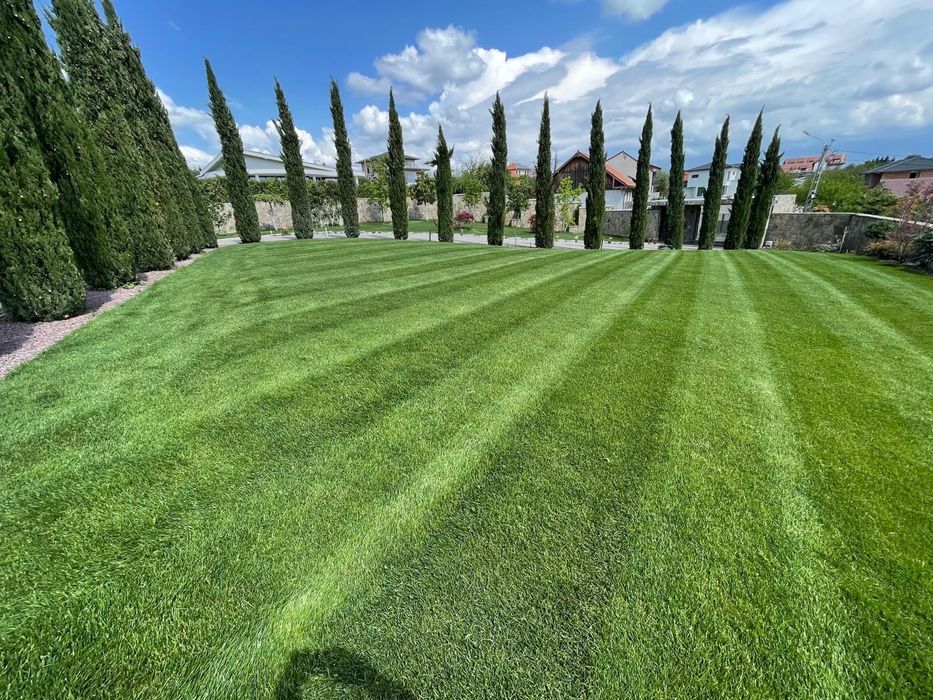 Tractoraș de tuns gazon Simplicity Regent    rolă pentru iarba INCLUS