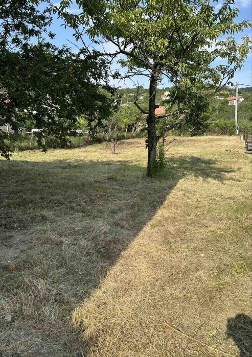 Косене  на трева, рязане на дървета,поставяне на телена ограда