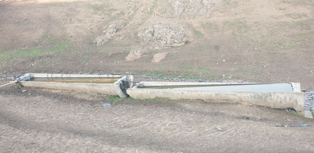 Куй кура сотилади 15 сотих куй бокишга мулжалланган