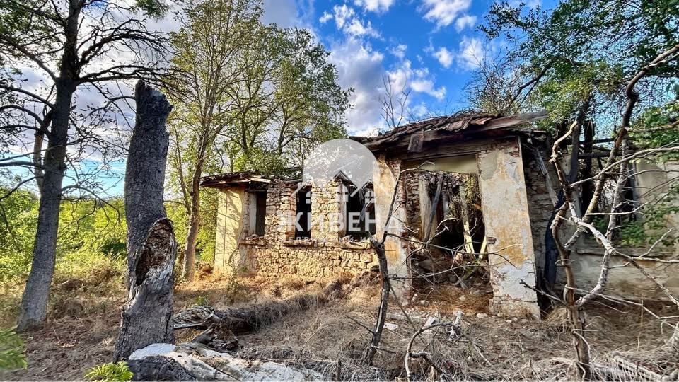 Парцел в Добрич, област-с.Градини площ 3100 цена 21000