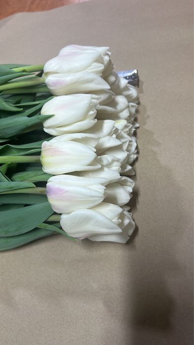 Тюльпаны оптом и в розницу