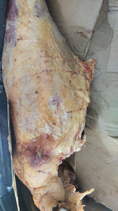 Мясо говядина сиыр еті
