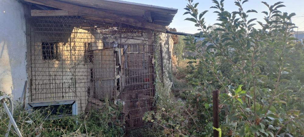 Продам тёплый дом  Шолдала