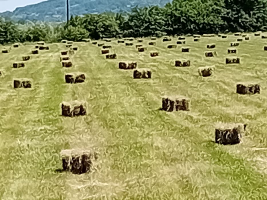 Baloți fân coasa 1 .șî 2.semănătoare porumb.