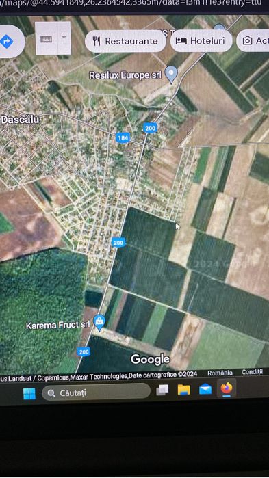 Teren intravilan 18000m2 Dascalu /direct proprietar