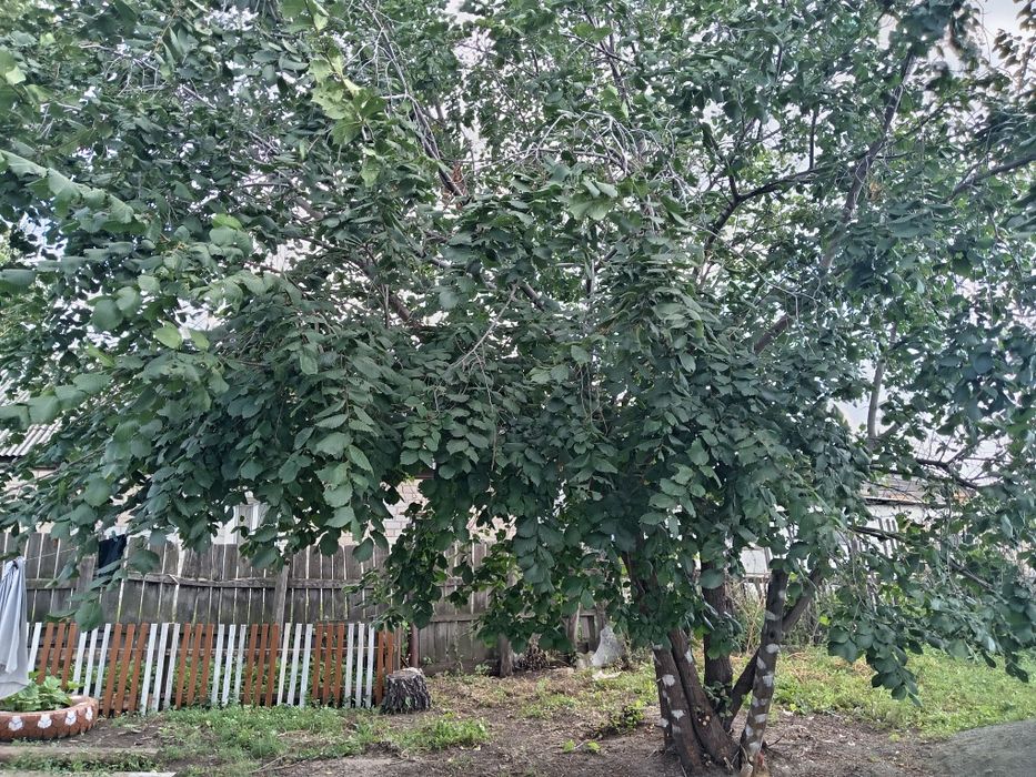 Продам дом. По адресу:Маликова 106