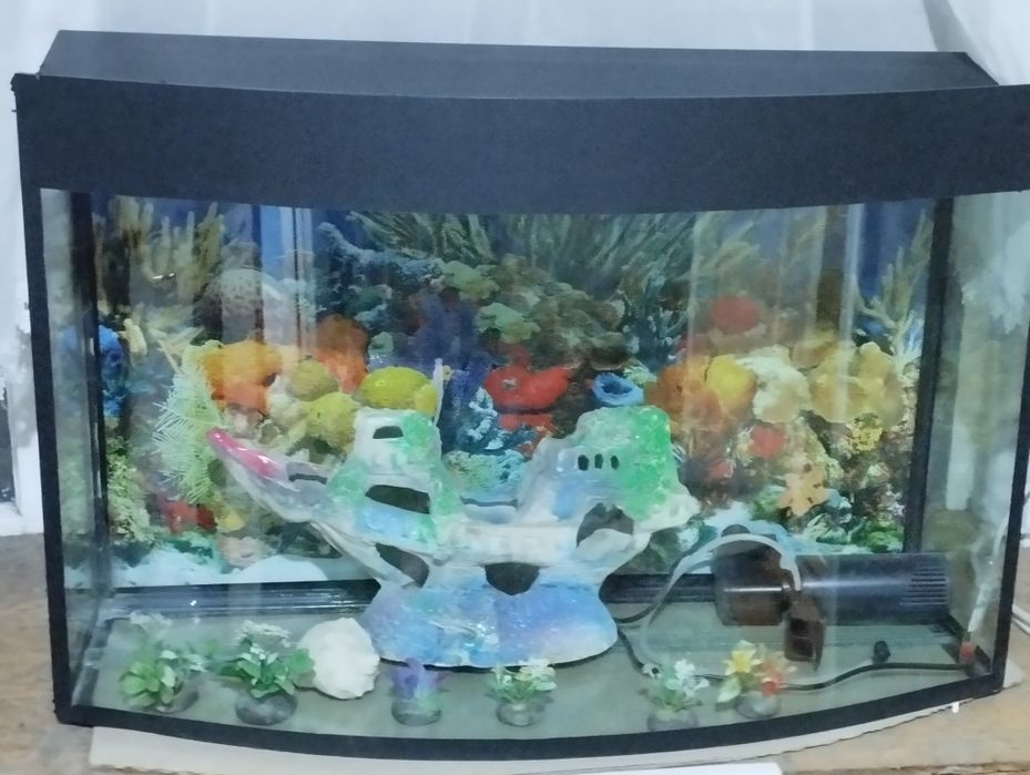 Аквариум фулл комплект