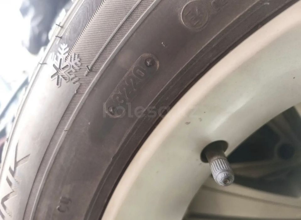 Шины зимние Triangle 235/55R19