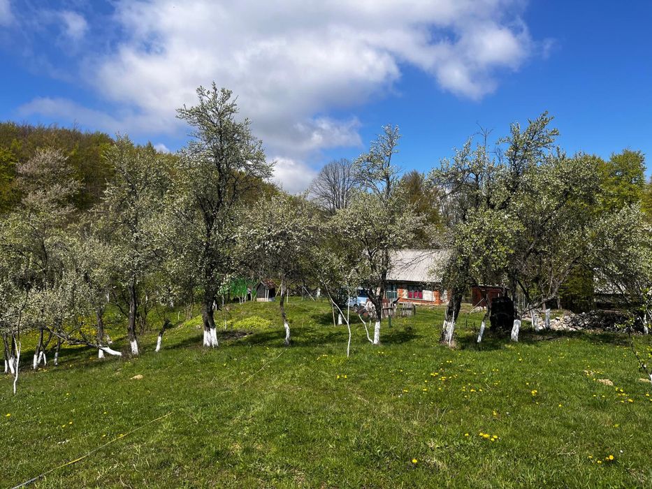 Vând casă cu teren intravilan