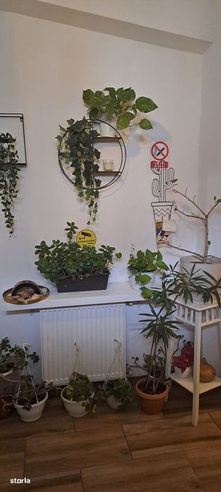 apartament in casa p+1, ultracentral