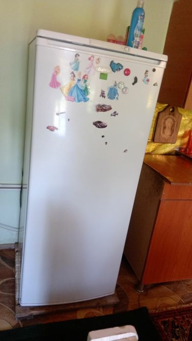Холодильник Брюса Минск