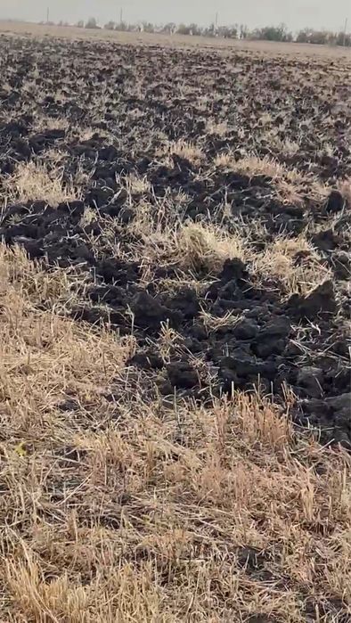 Земля сельхоз назначения 1000 га