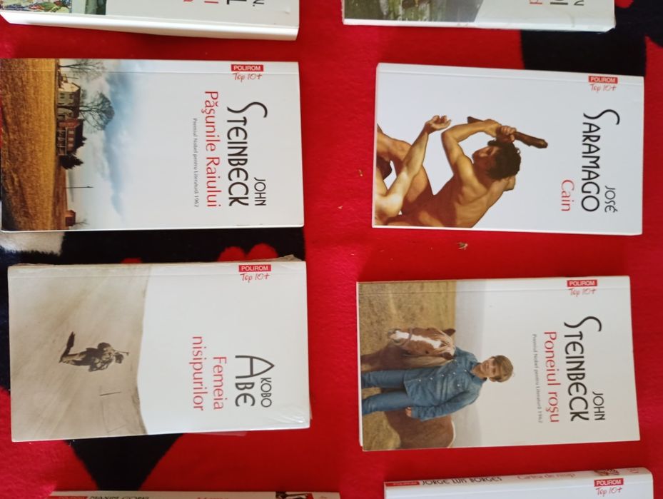 Colectie carți Polirom literatura .